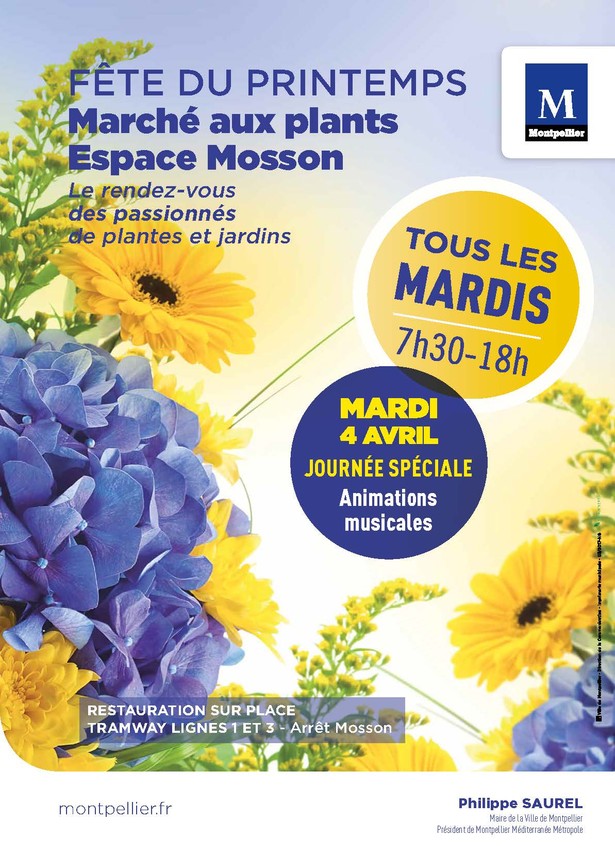 Affiche de la fête du printemps, fleurs jaunes et bleues