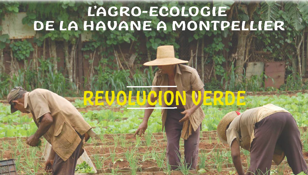 L'Agro-Ecologie de la Havane à Montpellier : des cultivateurs dans un champ
