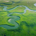 Aerial view of Amazon rainforest in Brazil, South America. Green forest. Bird's-eye view. 
