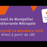 Embedded thumbnail for Conseil de Métropole du mercredi 14 décembre 2016 