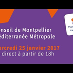 Embedded thumbnail for Conseil de Métropole du mercredi 25 janvier 2017