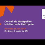 Embedded thumbnail for Conseil de Métropole du 28 juin 2017