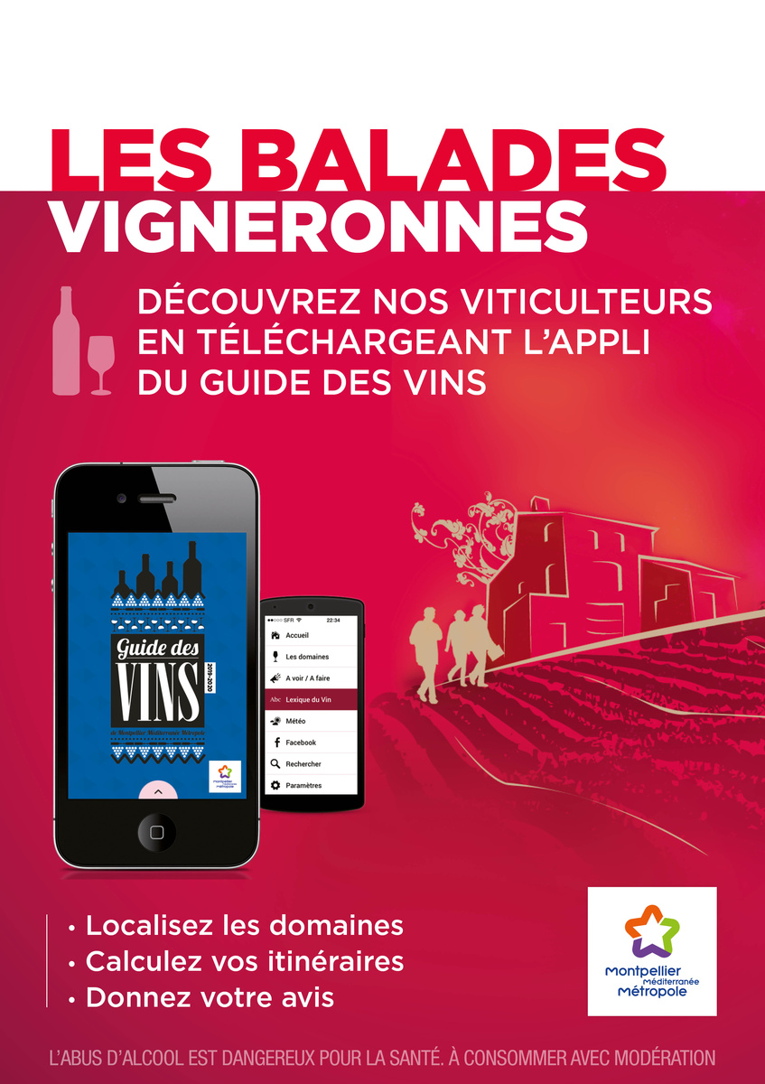 Application mobile Guide des vins